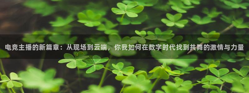 小艾电竞集团
