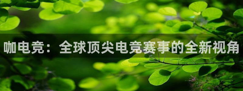 小艾电竞平台官方网