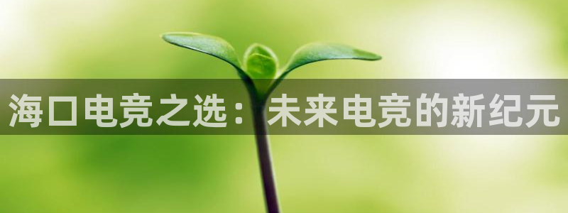 小艾电竞官网入口登录