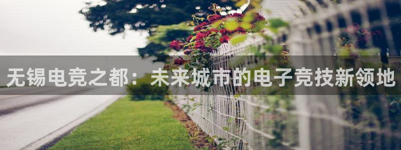 小艾电竞下载